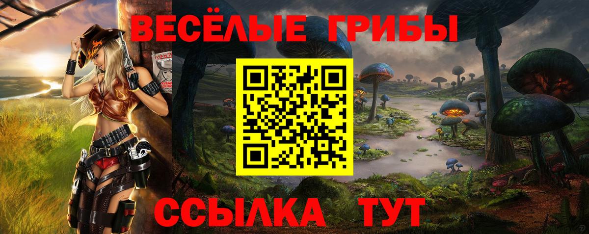 Псилоцибиновые грибы мухоморы  Вход с VPN  Моздок 